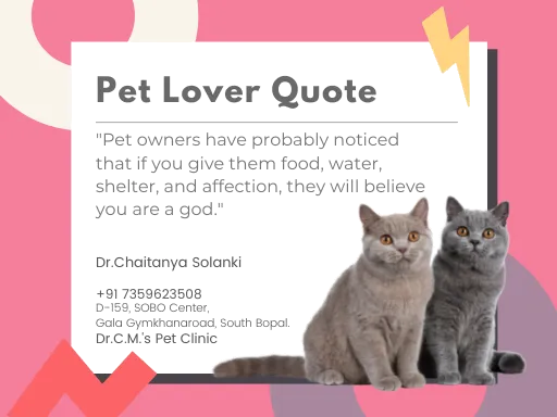 Dr. C.M's Pet Clinic Dr. C.M's Pet Clinic