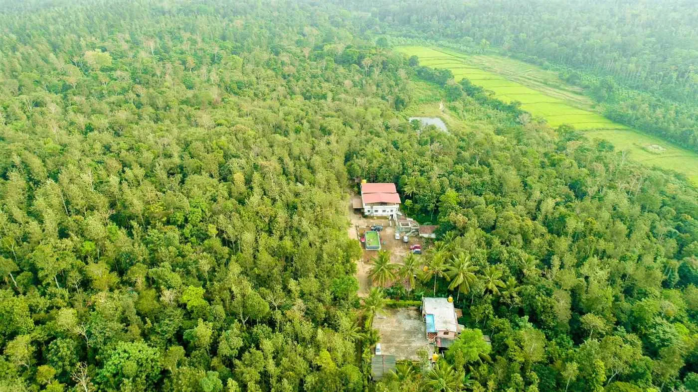 Tricolour Investment and Properties Pvt Ltd