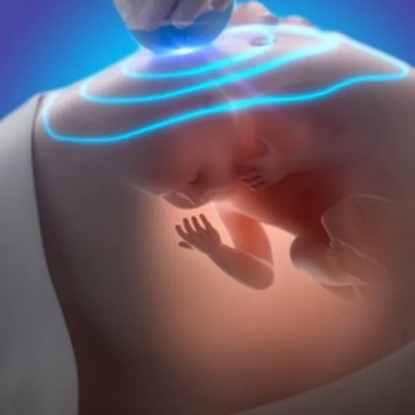 Dr. Vibha Sharma - Gynecologist in Jaipur