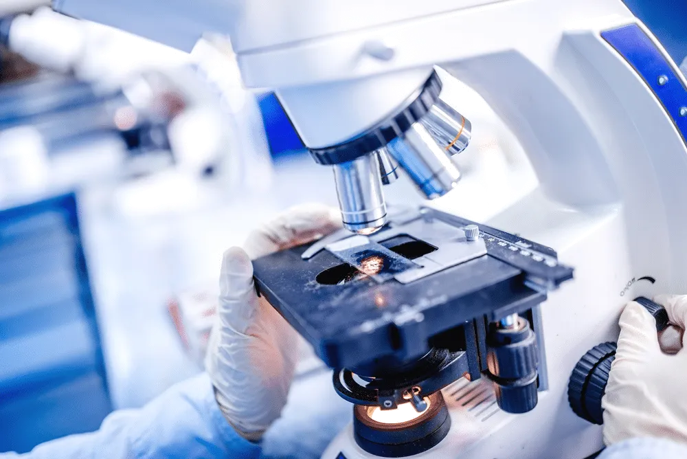 EA Laboratories Pvt. Ltd.