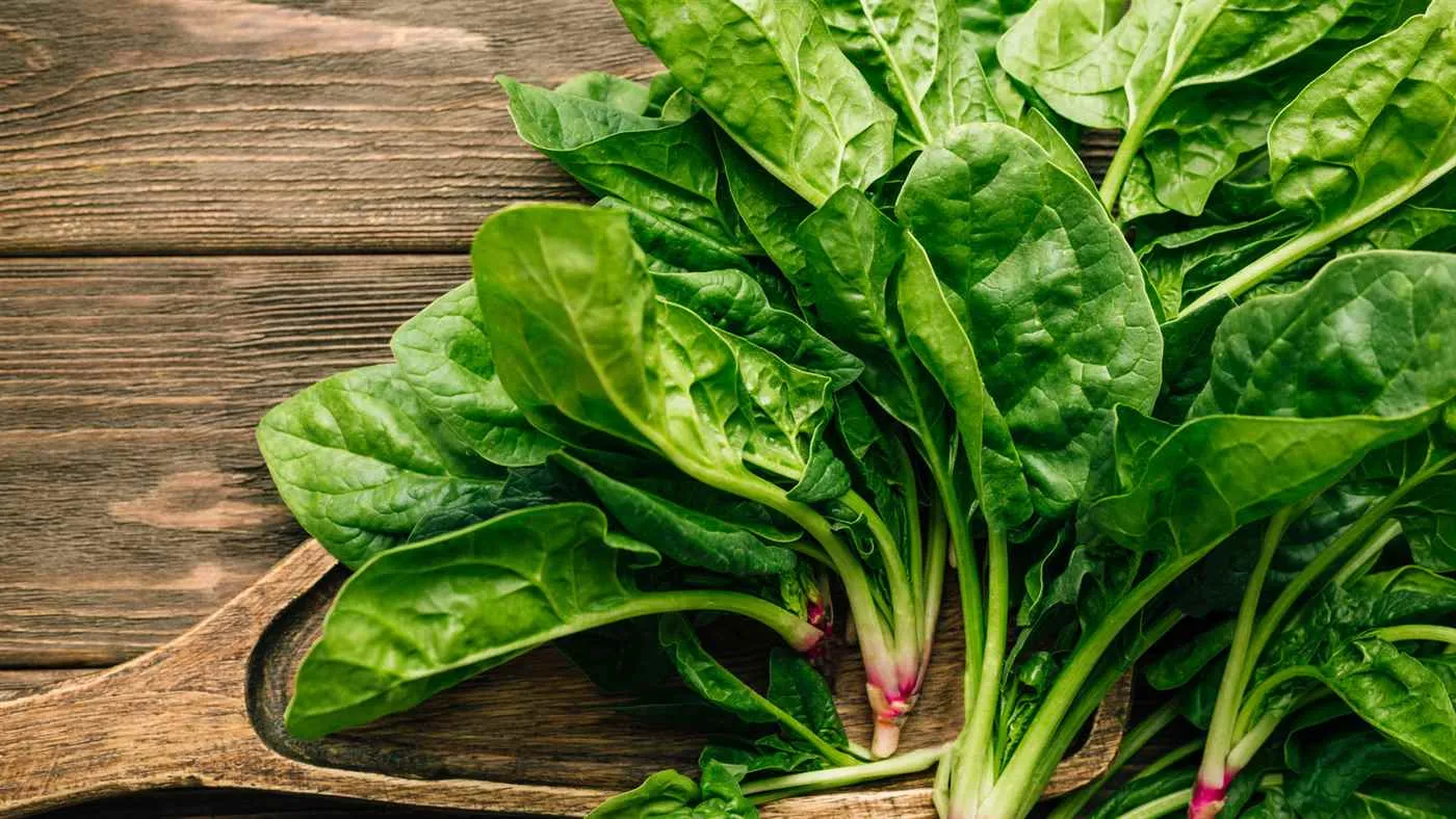 Sangram Vegetable Shop Sangram Vegetable Shop