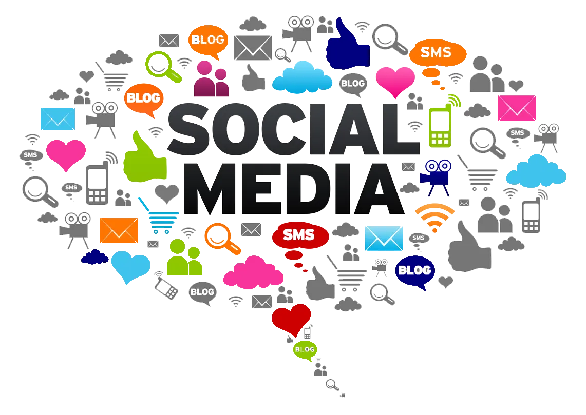  Three G Logic Infotech Pvt Ltd