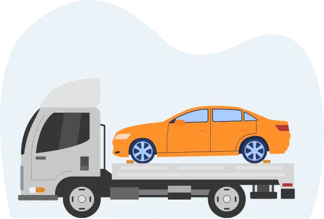 Apollo Relocation Packers and Movers 