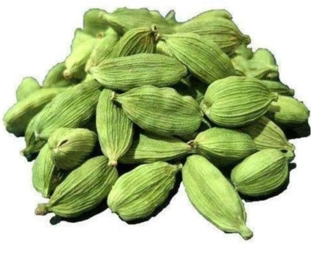 Pathway India Pathway India