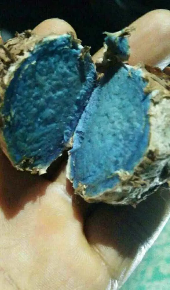 Pathway India Pathway India