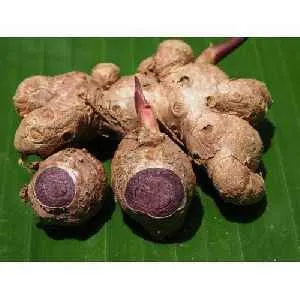 Pathway India Pathway India