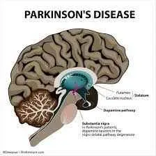 Stem Cell Therapy Center Stem Cell Therapy Center