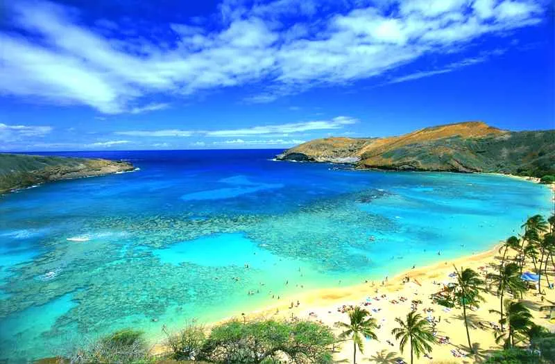 Do Cab Service Do Cab Service