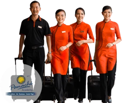 Panache Aviation Academy Indore Panache Aviation Academy Indore