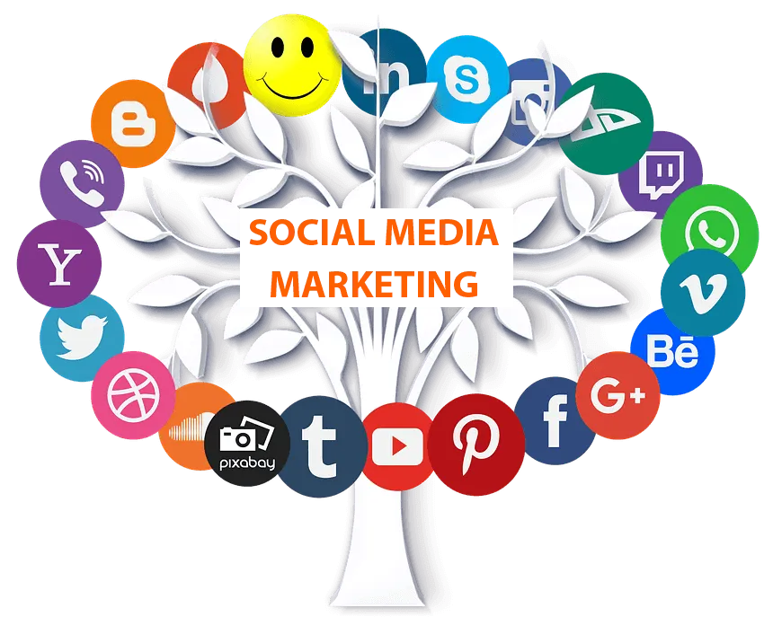 B-Web Design B-Web Design