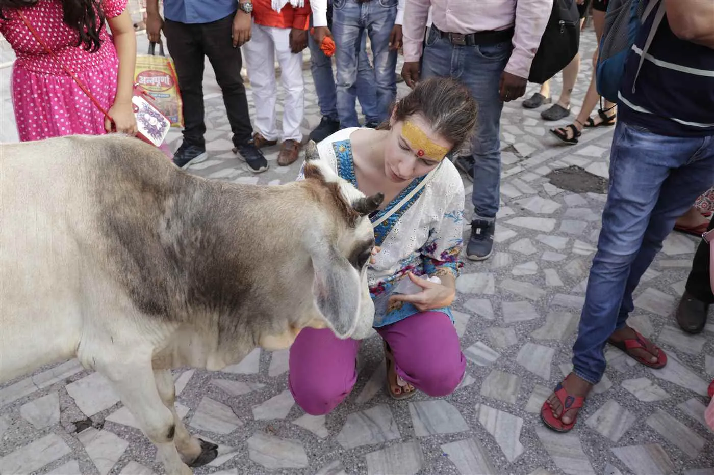 Gurukul Yogashala Gurukul Yogashala