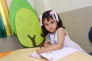 The Navyandhra School