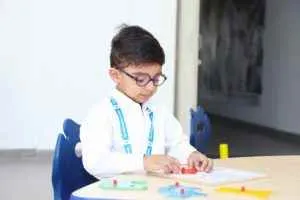 The Navyandhra School