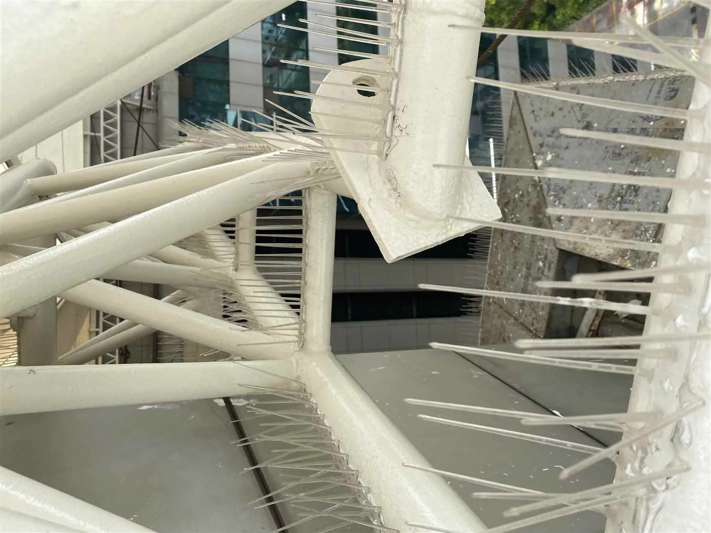 Spikes Zone Spikes Zone