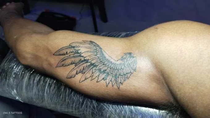 Owls Tattoo Owls Tattoo