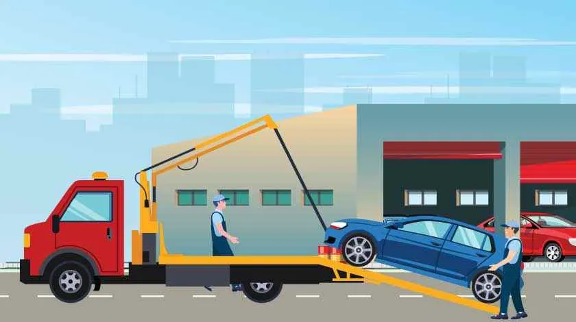 Rehousing Packers Rehousing Packers