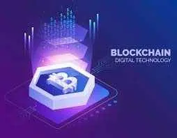 Fibit Infotech Pvt Ltd