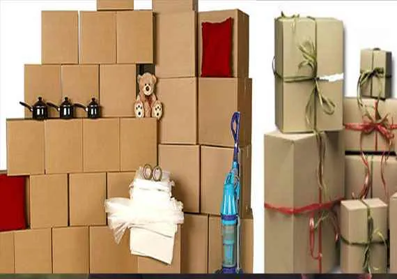 Shree Krishna Packers and Movers 