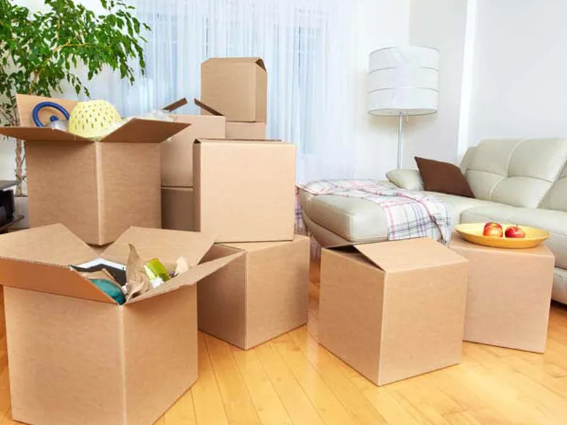 packing cartoon packing cartoon