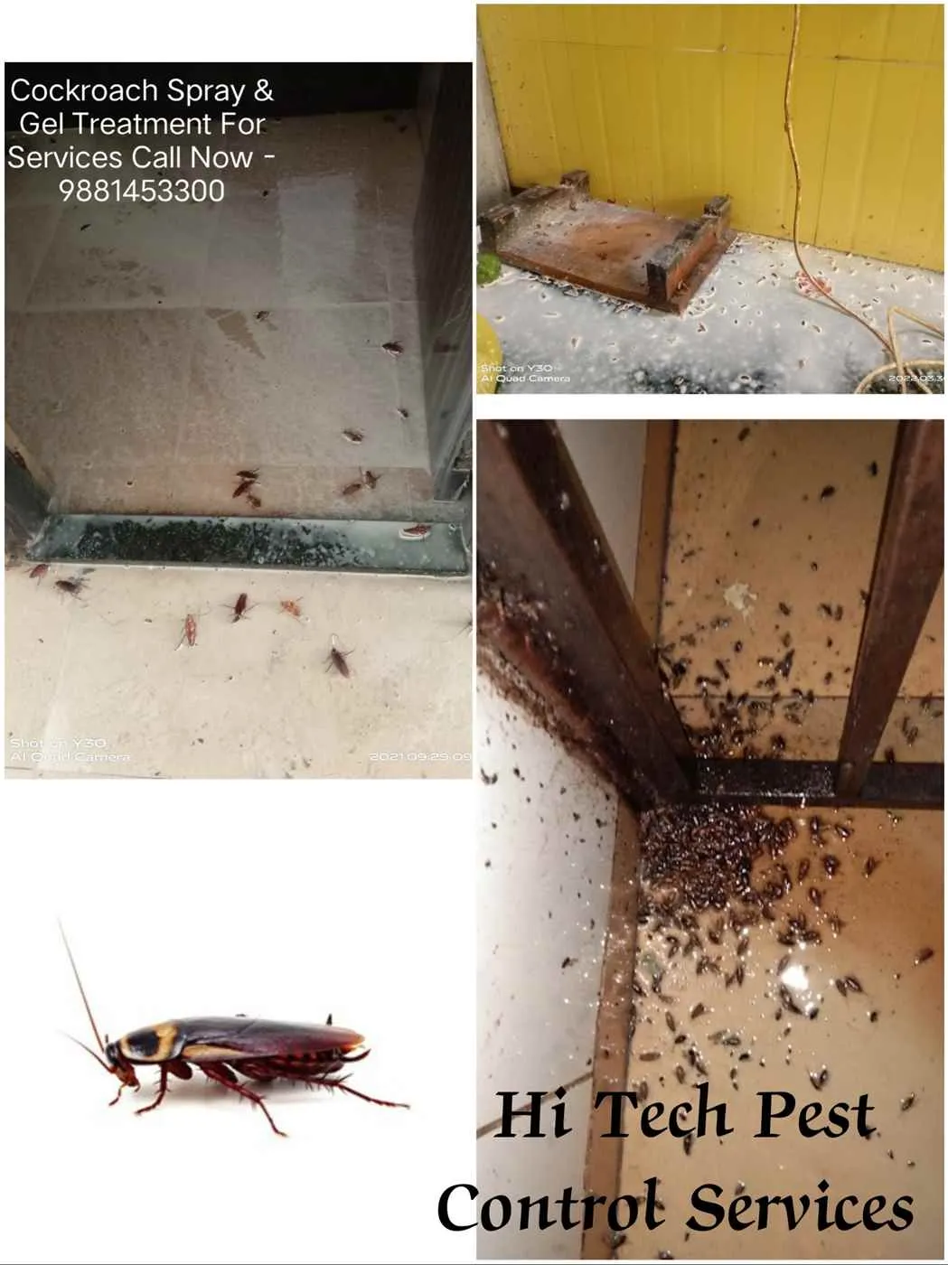 Hi Tech Pest Control Services