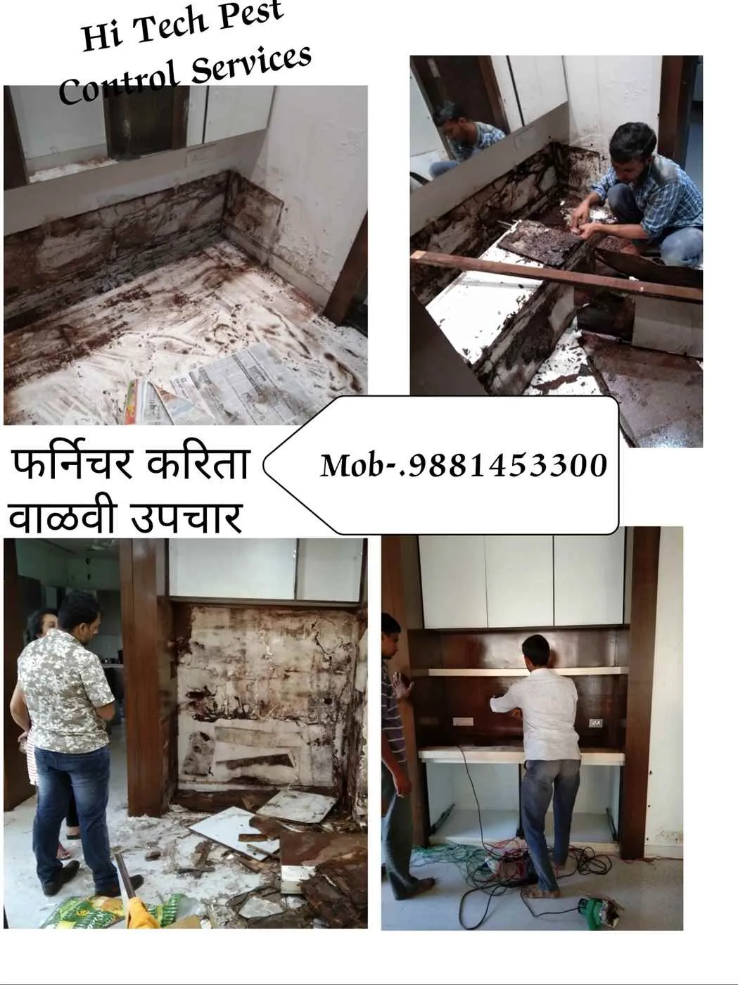 Hi Tech Pest Control Services