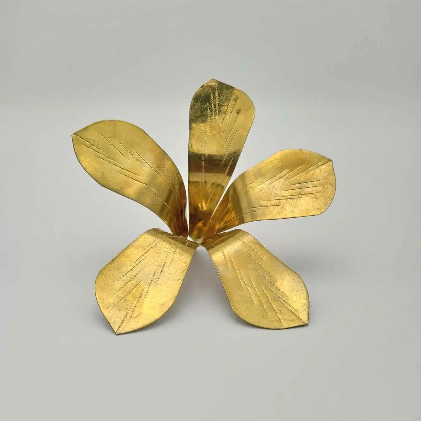 Assam Root Assam Root