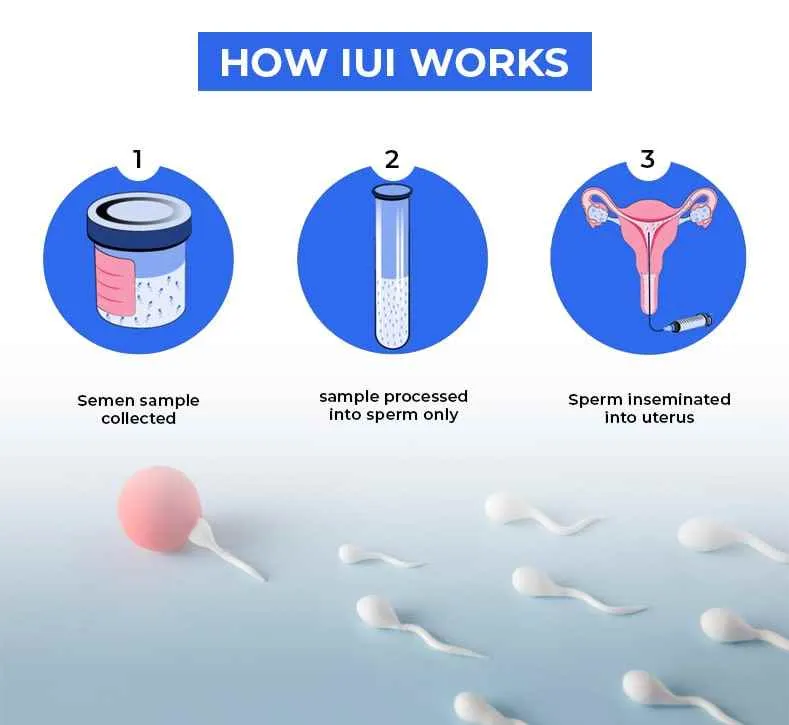 Dr. Bindu Garg Dr. Bindu Garg