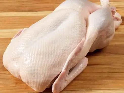 Protein Corner Protein Corner