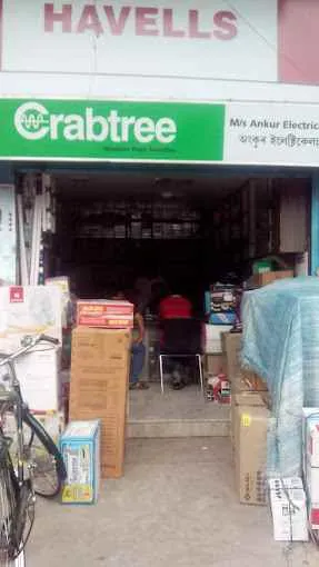 MS Ankur Electricals