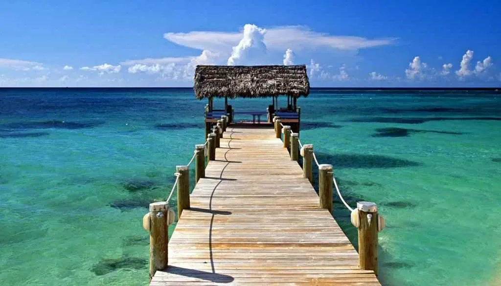 Euphoric Holidays Euphoric Holidays