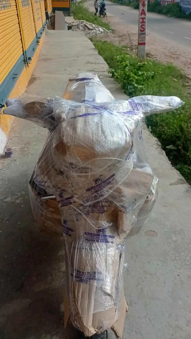 Metro Relocation and Transportation 