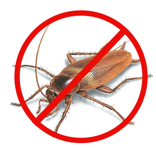 Integrated Pest Control Integrated Pest Control