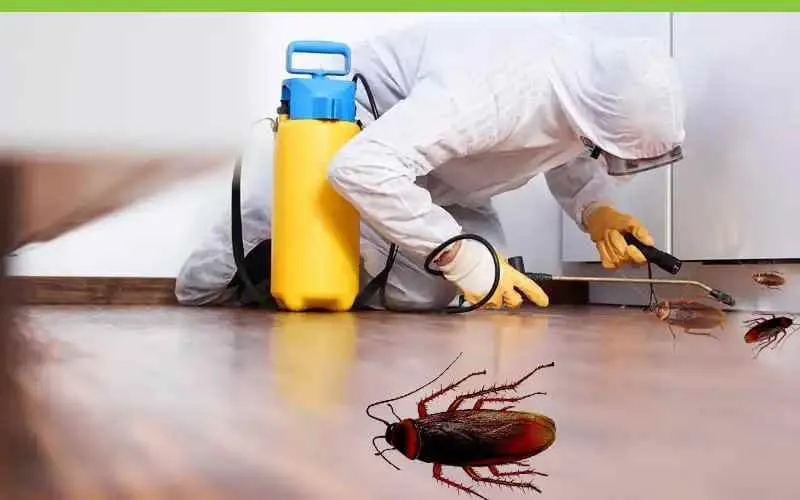 M K Trade Centre-Pest Control and Termite Services