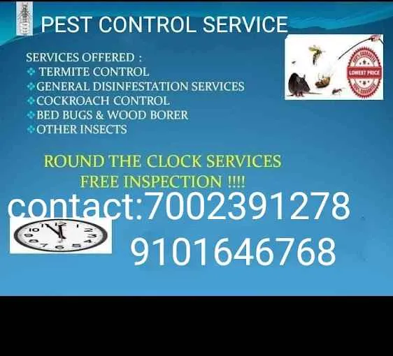 R.B Pest Solution