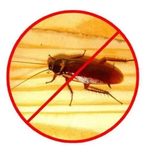 R.B Pest Solution