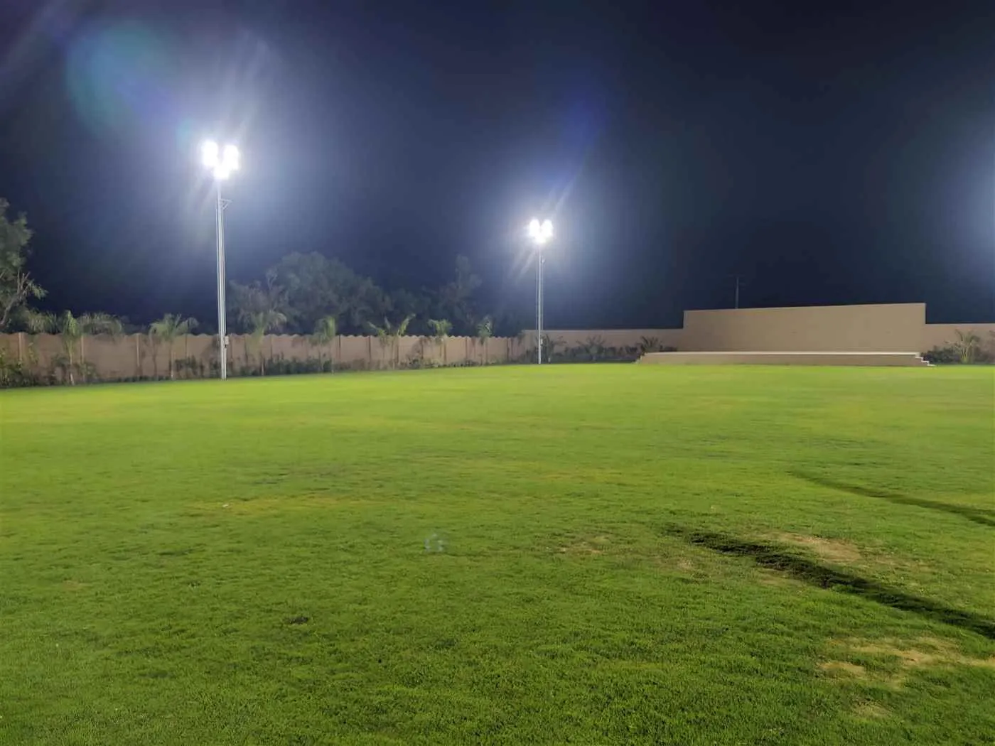 Divine Green Party Plot Divine Green Party Plot