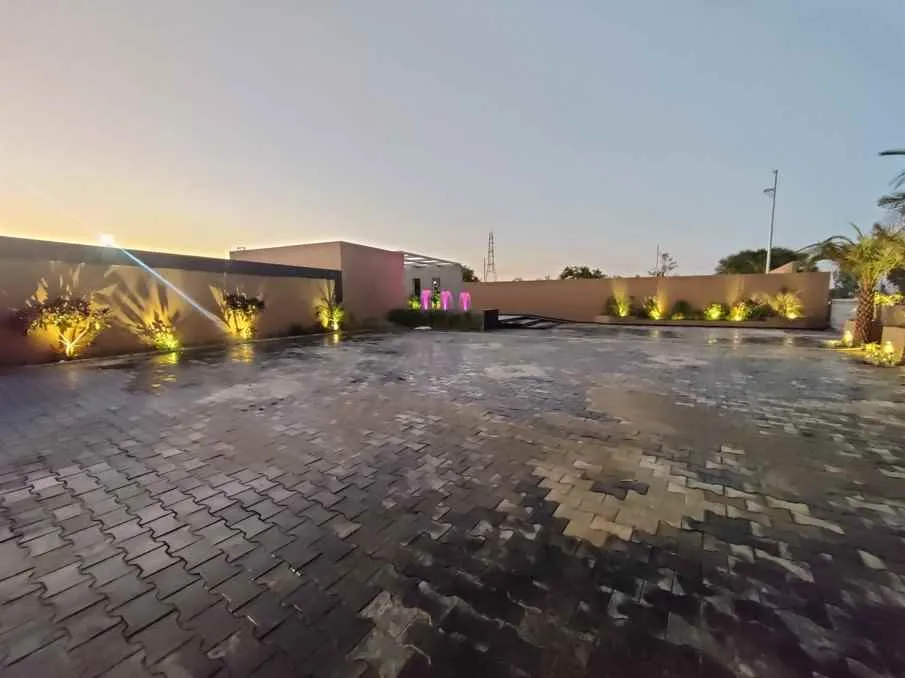 Divine Green Party Plot Divine Green Party Plot