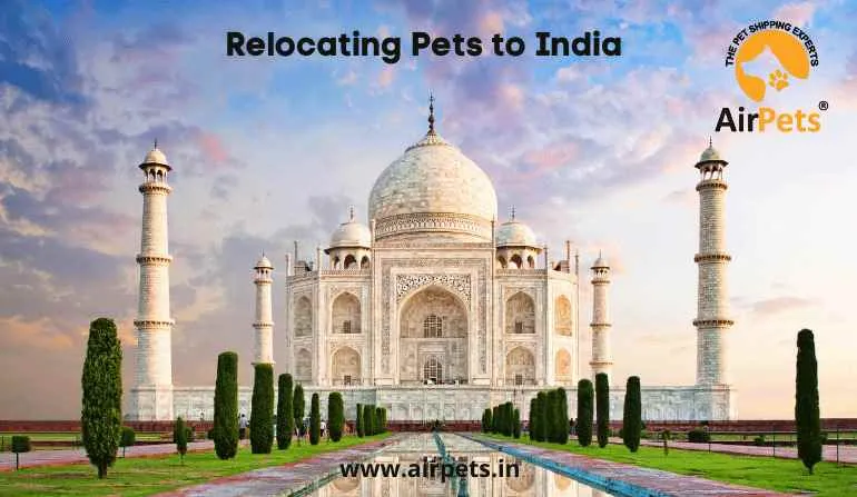 AirPets Relocation Services Pvt Ltd AirPets Relocation Services Pvt Ltd