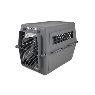 AirPets Relocation Services Pvt Ltd AirPets Relocation Services Pvt Ltd