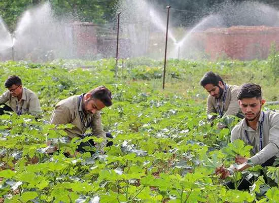 RNB Global University