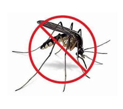 Protection Pest Control 