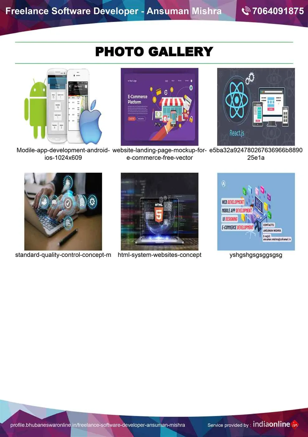 Freelance Software Developer - Ansuman Mishra