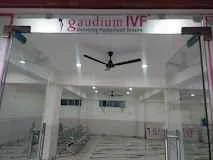 Gaudium IVF 