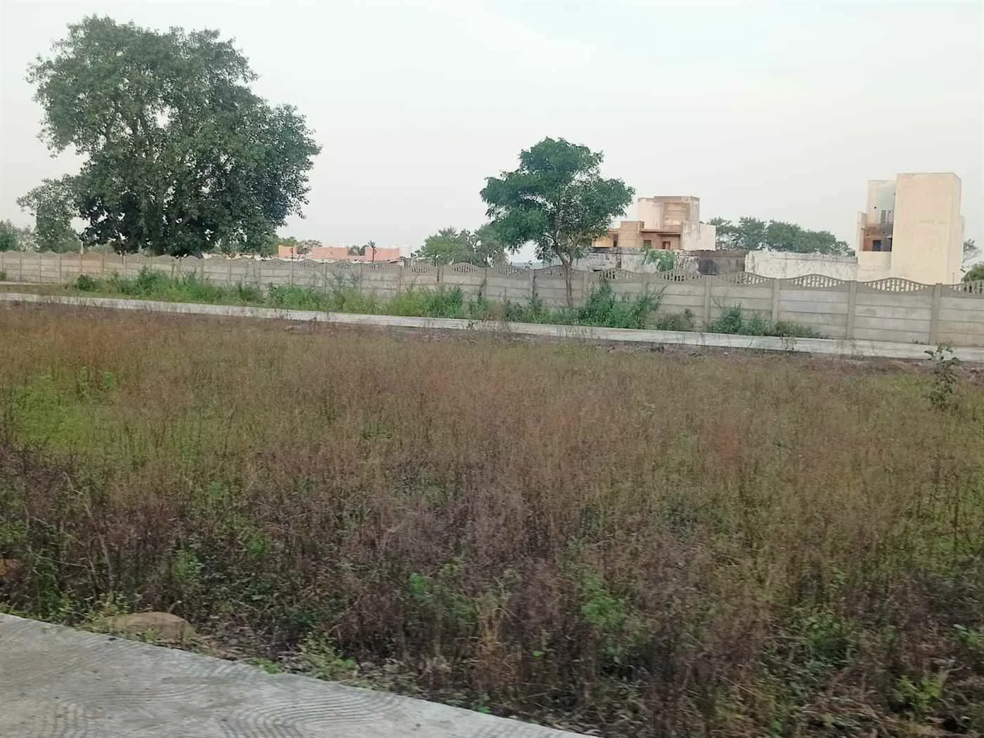 RudRakshIndia Developer RudRakshIndia Developer