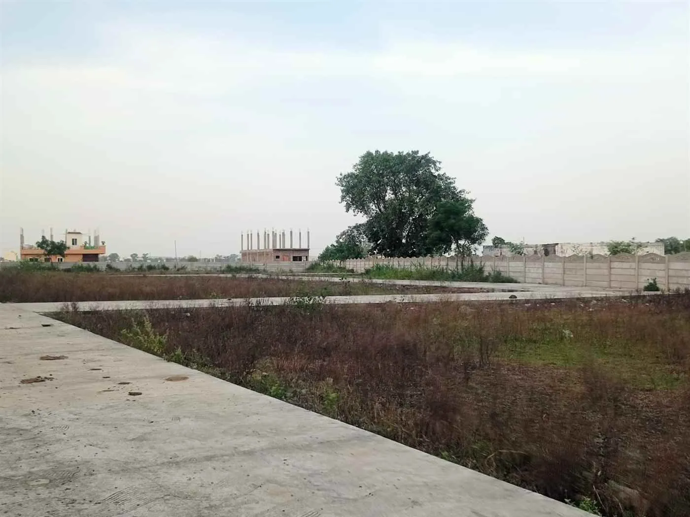 RudRakshIndia Developer RudRakshIndia Developer