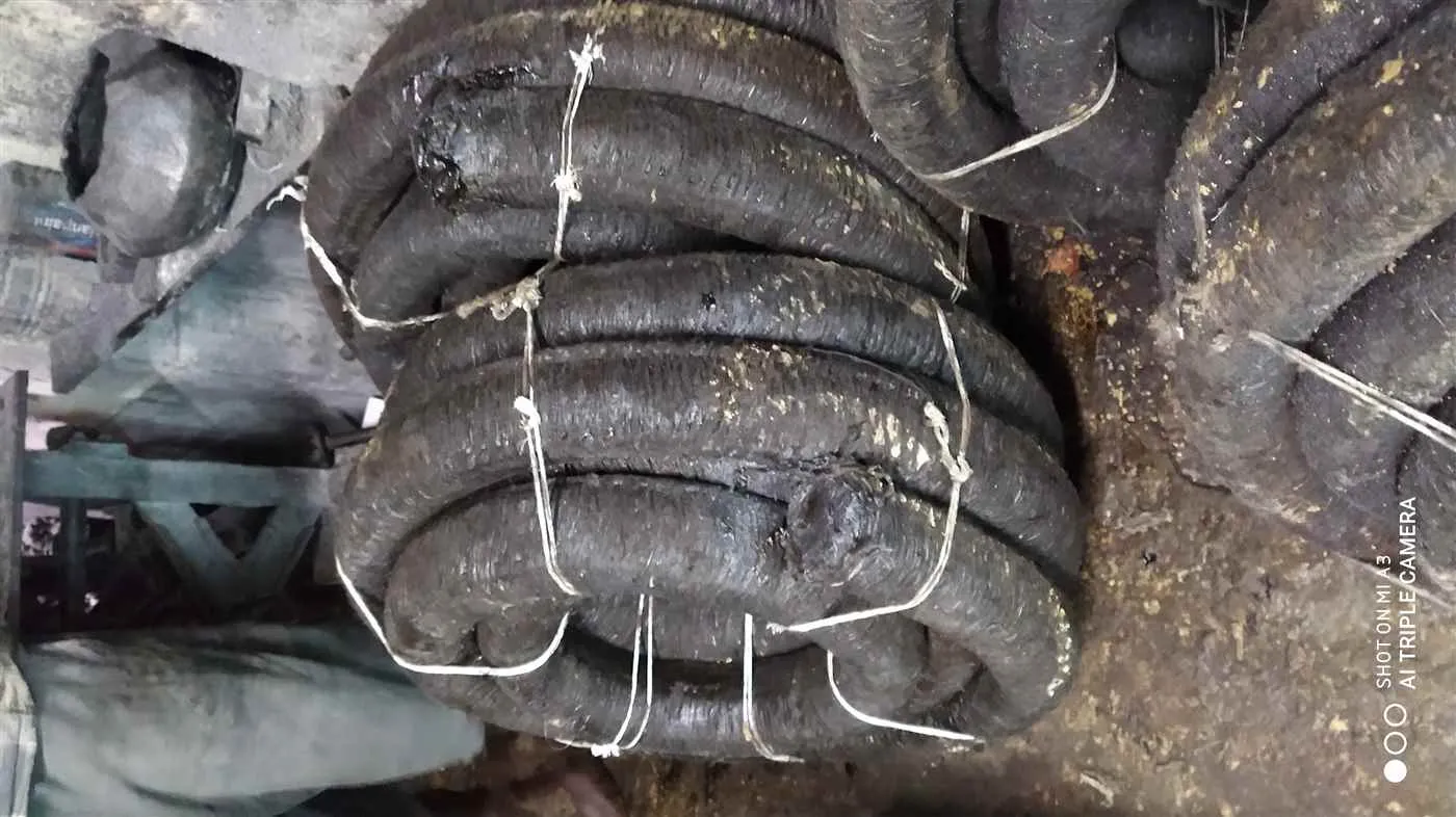 Bengal Packing Industries 