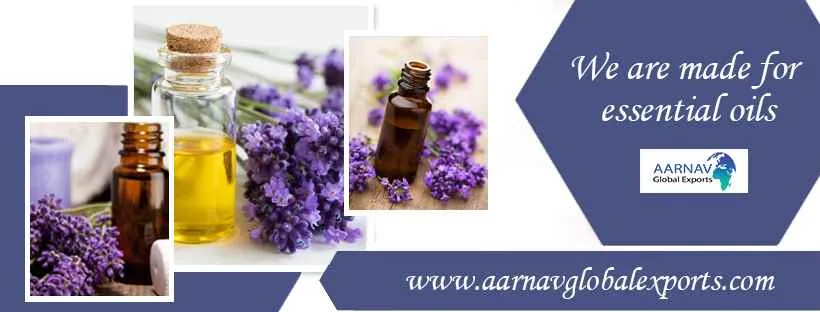 Aarnav Global Exports