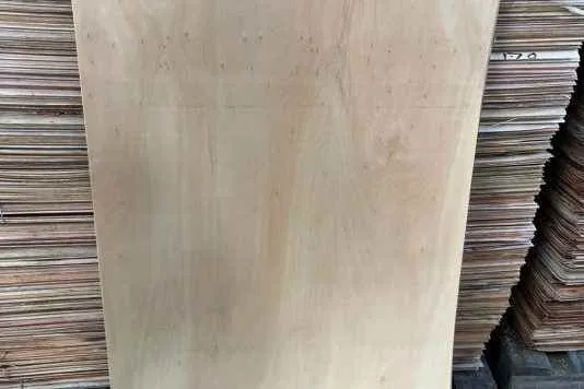 Bhalothia Udyog Bhalothia Udyog