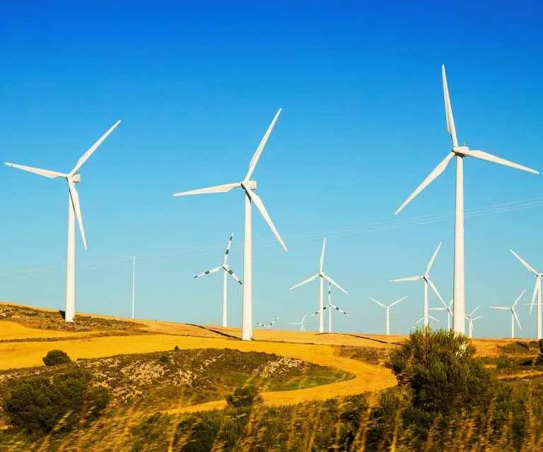 Solar Green Nature Solar Green Nature