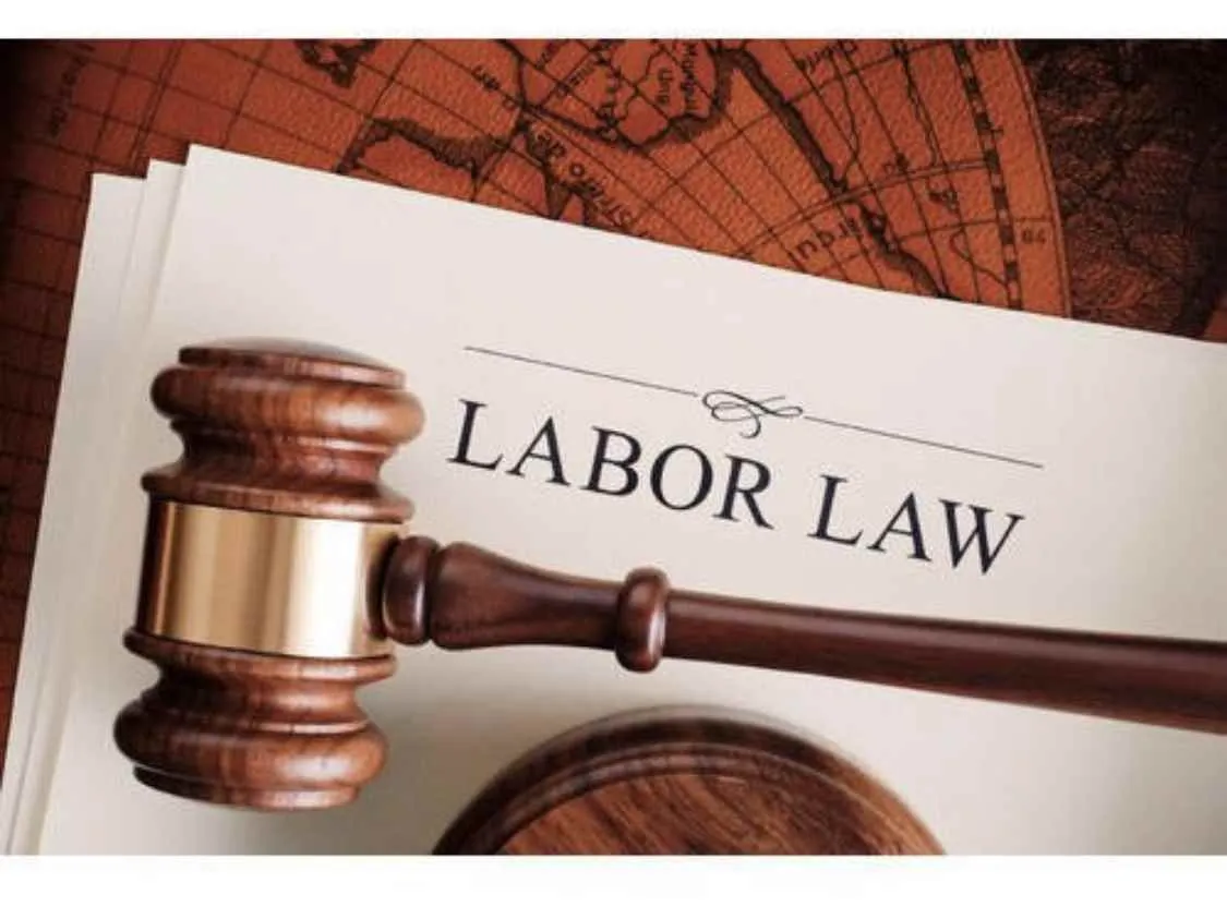 Our services Our services